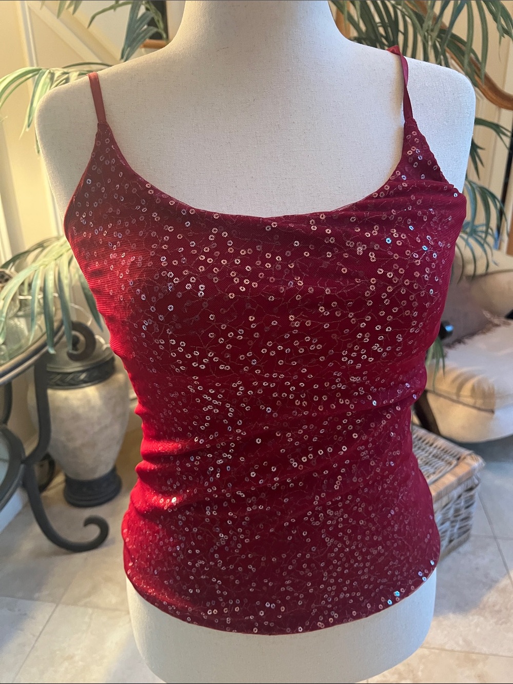 The Limited Burgundy Sequin Camisole